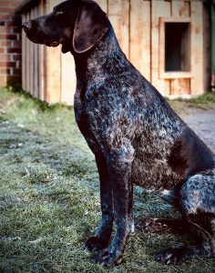 1abb06d6 e829 45c9 b759 df4903a81681