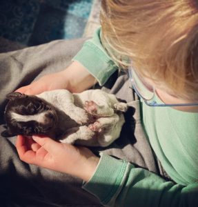 3cc85495 174f 43f4 be2e 7140264a15d6