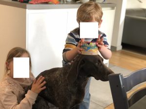 69b23f78 95d7 4b44 9c76 7896ee4f55bf