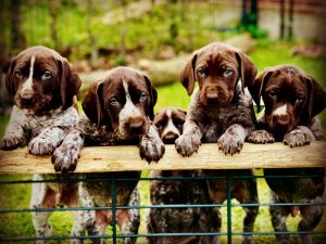 fef954cf 16f6 484b 8d3c fb79f8a6e58e